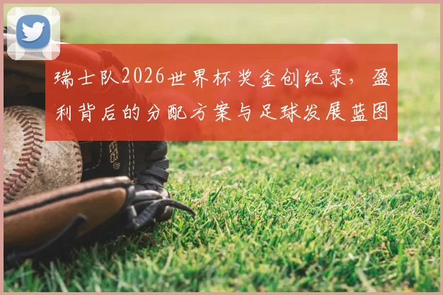 瑞士队2026世界杯奖金创纪录，盈利背后的分配方案与足球发展蓝图解析