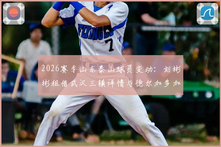 2026赛季山东泰山球员变动：刘彬彬租借武汉三镇详情与德尔加多加盟大连英博分析